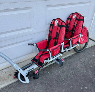 Weehoo iGo 2 Bike Trailer