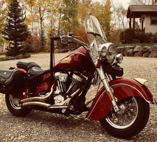 Indian Gilroy 2002 - Image 2