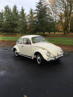 65 VW Bug only 49k original miles