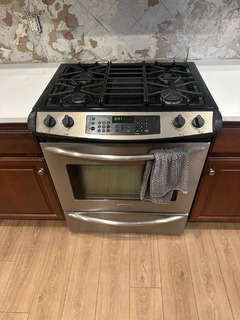 Frigidaire Professional Series Gas Oven