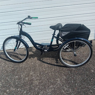 Schwinn Adult Tricycle