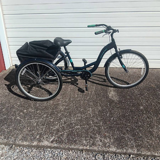 Schwinn Adult Tricycle - Image 2