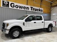 2019 Ford F250 XL Fx4 Crew Cab 4wd Super Duty Mid TN - Image 3