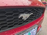 2017 Ford Mustang V6 Coupe Est. payment OAC† - Image 10