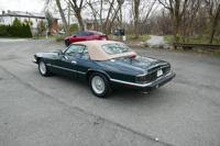 1992 Jaguar XJS V12 Convertible Low Miles (St# 2770) College Point - Image 6