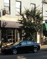 2004 Acura TL Autotrader Private Seller - Image 3