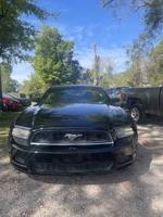 Ford Mustang ready to go Jacksonville - Image 3