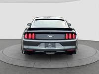 2016 Ford Mustang Eco Boost Premium Performance package Tacoma - Image 7