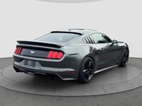 2016 Ford Mustang Eco Boost Premium Performance package Tacoma - Image 8