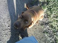 Dodge Long Wheelbase Van 111000 Original Miles One Owner Henryetta - Image 10