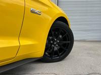 2015 Ford Mustang GT Premium, 5.0 Coyote V8, 6 Speed,50th Anniversary Jacksonville, FL - Image 6