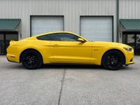 2015 Ford Mustang GT Premium, 5.0 Coyote V8, 6 Speed,50th Anniversary Jacksonville, FL - Image 9