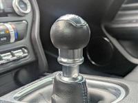 2020 Ford Mustang GT Premium AUTONATION Call (386) 603-6783 to confirm availability - May 9th - Image 9