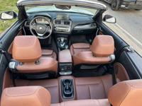 2017 BMW 2 Series 230i x Drive AWD 2dr Convertible Inwood - Image 10