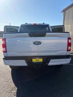 2021 Ford F-150 LX Phoenix - Image 7