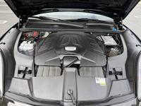 2023 Porsche Cayenne Platinum Edition San Diego - Image 10