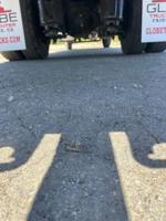 2019 INTERNATIONAL 4300 26' BOX TRUCK **CUMMINS, AIR RIDE, NON-CDL** SAN FRANCISCO - Image 10