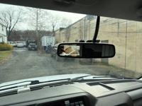 **2022 Ford E-350 w/ 11 Foot Knapheide Service Body!! 1 Owner!! Lancaster Ave., Malvern, PA - Image 8