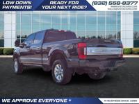 2022 Ford F250 F 250 F-250 Super Duty F 250 Super Duty Platinum Vista Cars and Trucks - Image 5
