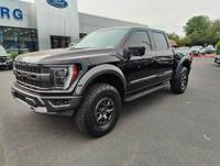 2022 Ford F-150 F150 F 150 Raptor + Newberg Ford - Image 4