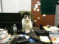 1997 ACURA CL 2.2 PREMIUM COUPE Seattle/Lake City - Image 9