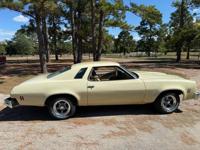 1975 Chevy Malibu Classic Tomball - Image 3