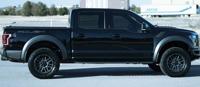 strong runner Ford F-150 Roush Raptor - Image 2