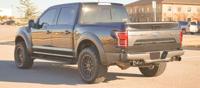 strong runner Ford F-150 Roush Raptor - Image 3