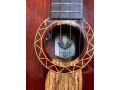 cocobolo-tenor-5-string-ukulele-small-5