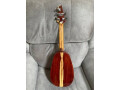 cocobolo-tenor-5-string-ukulele-small-1