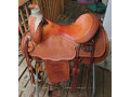 genuine-ricotti-show-saddle-small-0